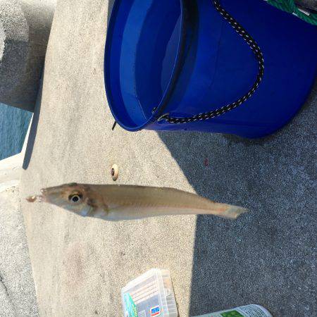 去年の今頃はもっと！