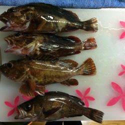 癒しの短時間釣行