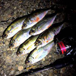 テクニカルアジング♪