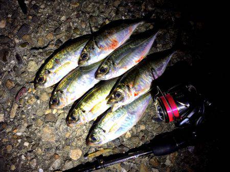 テクニカルアジング♪