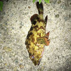 遠征ガシリング