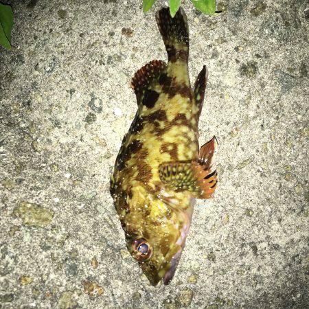 遠征ガシリング