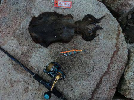 早朝から２杯キャッチ！