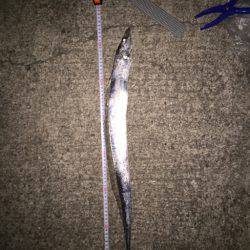 マナティーのサイズを落として攻略！