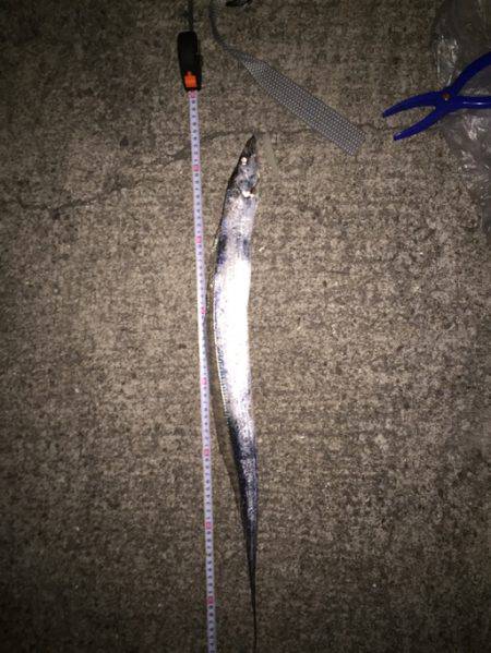 マナティーのサイズを落として攻略！