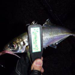 二時間ワンバイト