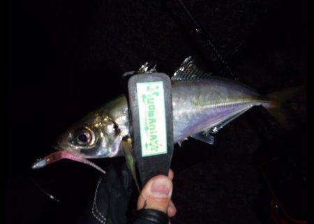 二時間ワンバイト