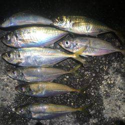 食べる分だけ〜