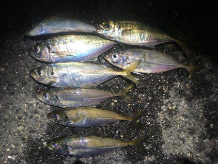 食べる分だけ〜