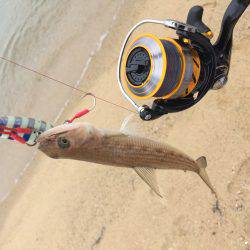 ２時間だけ、、、