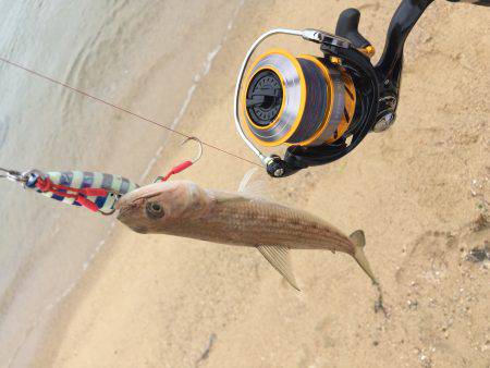 ２時間だけ、、、