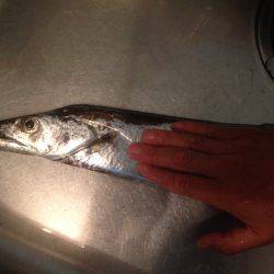 梅雨タチおった