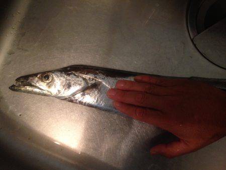 梅雨タチおった