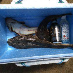 宮津湾マゴチ祭り