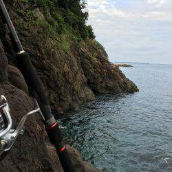 磯場でロックフィッシュ