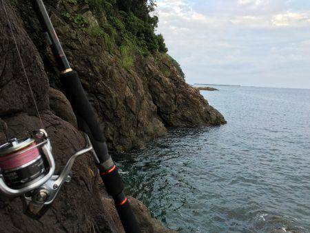 磯場でロックフィッシュ