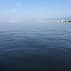 ウキ釣りはボウズ