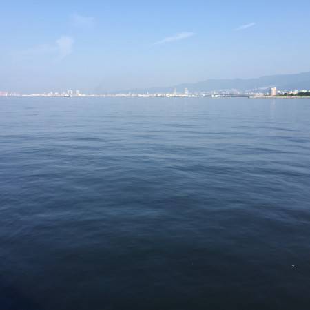 ウキ釣りはボウズ