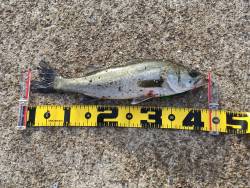 初岸ジギング～♪♪