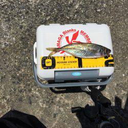 寝坊したぁーー