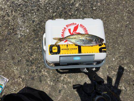 寝坊したぁーー