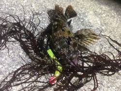 雨が降る前に。