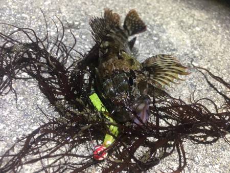 雨が降る前に。