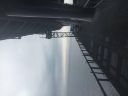 雨の中のとっとパーク釣行