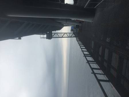 雨の中のとっとパーク釣行