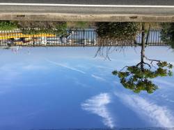 アジングのつもりが