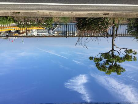 アジングのつもりが