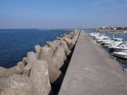 キス絶好調！！