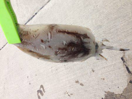 諦めかけたその時！！