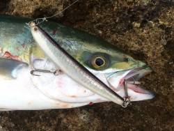 あまり情報なく不安でしたが