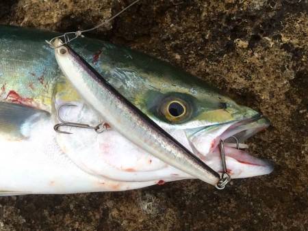 あまり情報なく不安でしたが