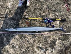 昼間のボイル祭り