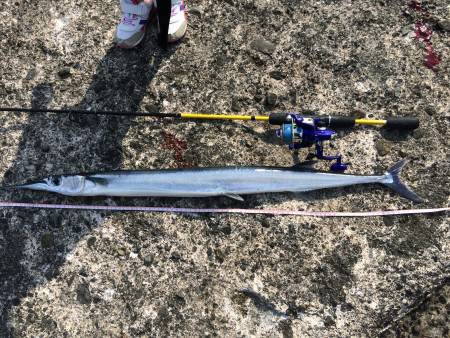 昼間のボイル祭り