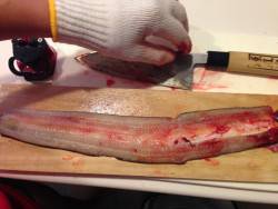 まだはやいのか！？