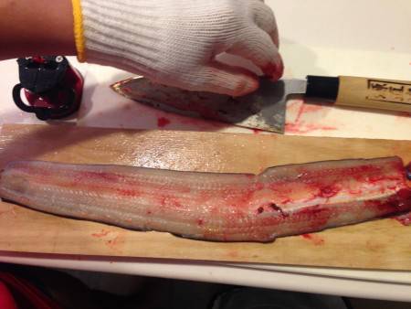 まだはやいのか！？