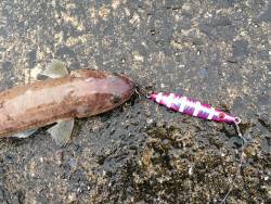 滝修行（≧∇≦）