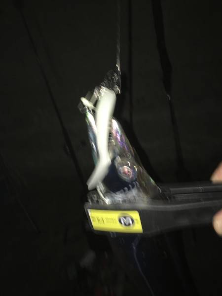 小浦一文字で太刀魚