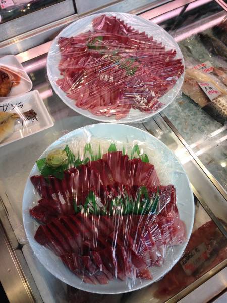 まだブリはいる！