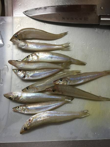 スーパーライト