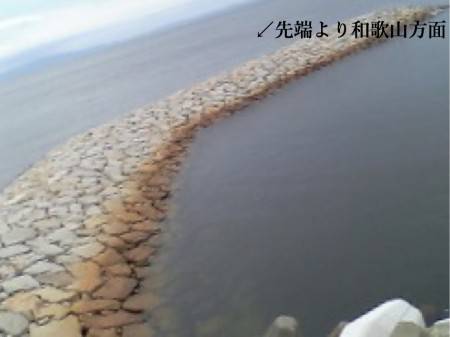 雨の間を縫って