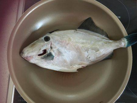 何とか釣れました