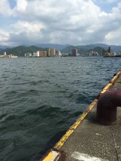 アジングとエギング