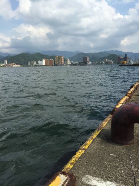 アジングとエギング