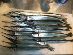 頑張った、、、