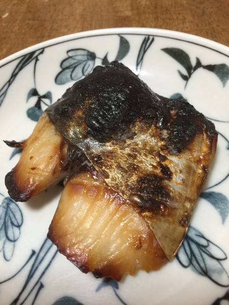 久しぶりのサゴシ