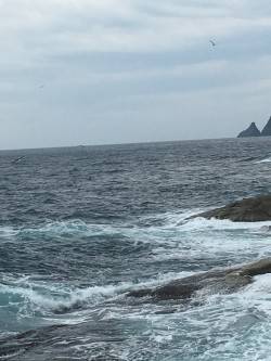 ジグで久しぶりに♪